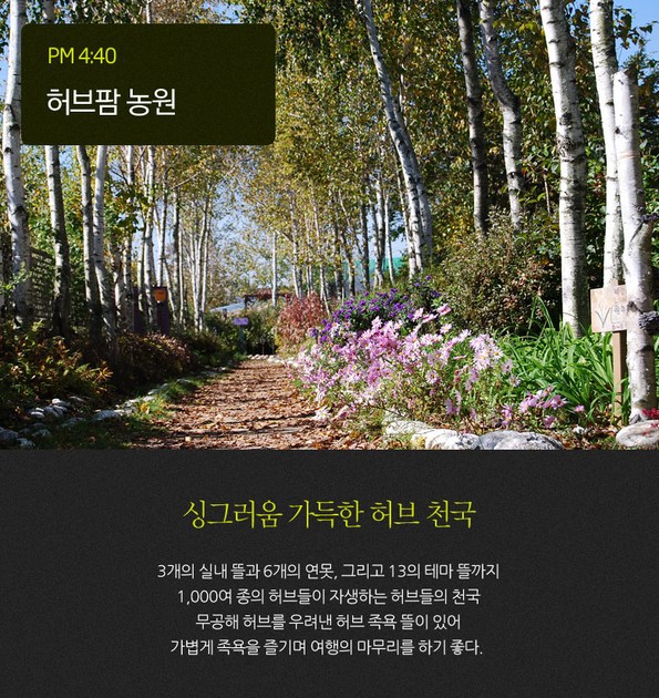 쿠팡 모바일 원주 치악산&레일바이크&허브팜 족욕체험