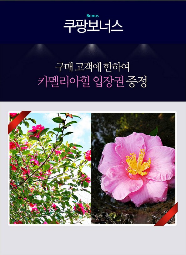 쿠팡 모바일 [김포出] 갤럭시호텔+아시아나+렌터카