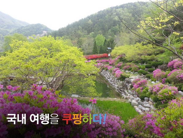 쿠팡 모바일 [진안/전주/완주] 꽃잔디마을+전주 한옥마을+대아수목원
