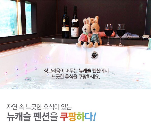 쿠팡 모바일 [특가펜션] 가평 뉴캐슬펜션,전객실전망좋은펜션