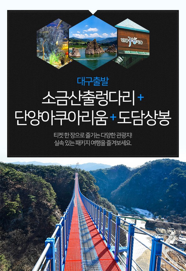 쿠팡 모바일 [출발확정/대구出/강원] 소금산출렁다리+단양아쿠아리움+도담상봉 당일 버스
